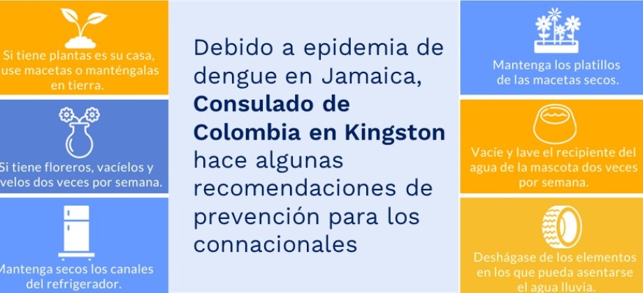 Debido a epidemia de dengue en Jamaica, Consulado de Colombia en Kingston hace algunas recomendaciones de prevención 